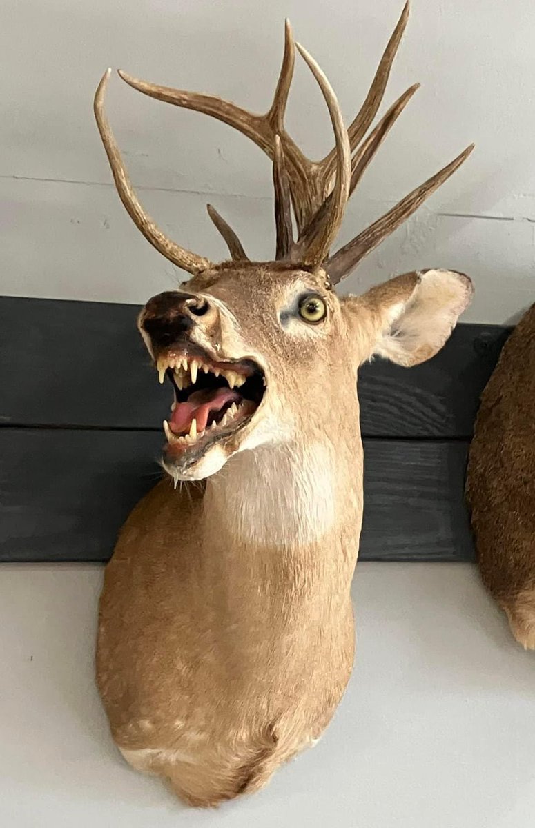 Okay, I need this for my deer collection… me want it.