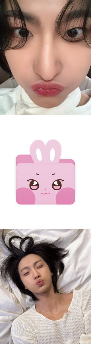acervoseonghwa's tweet image. 