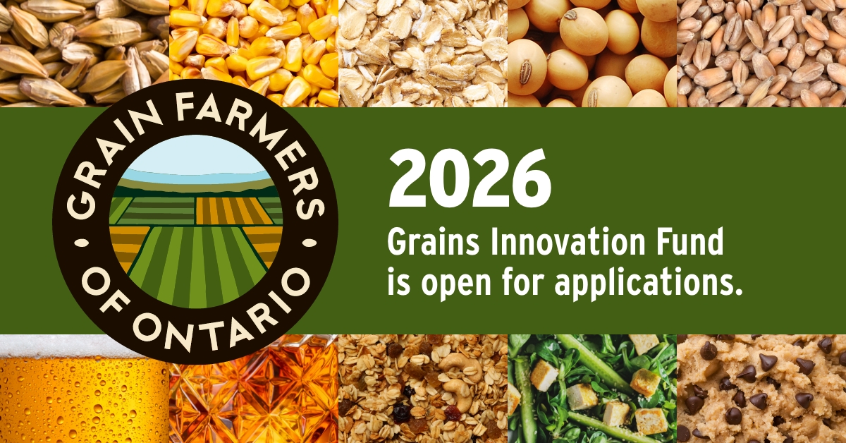 CreatedAtGuelph's tweet image. 🌽🌾 Applications now open for the 2026 Grain Farmers of Ontario Grains Innovation Fund!
Up to $75K available for market-ready innovations using Ontario-grown barley, corn, oats, soybeans, or wheat.
Deadline: Oct 31, 2025
Details: gfo.ca/grains-innovat…
#GrainInnovation #AgTech