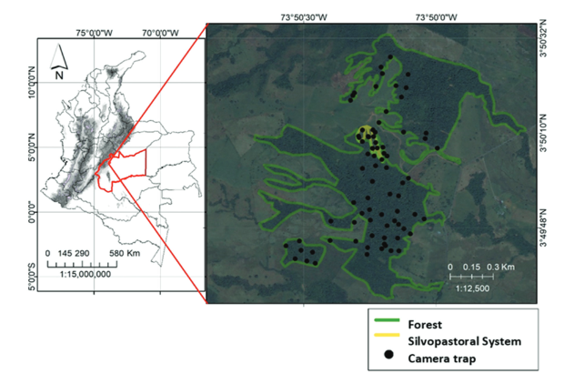 dlizcano's tweet photo. Activity patterns and habitat selection by terrestrial mammals in a mosaic landscape of silvopastoral system and forest fragments in the Andean piedmont in Colombia https://t.co/ayMjLhDFBn https://t.co/VeedlJbowS