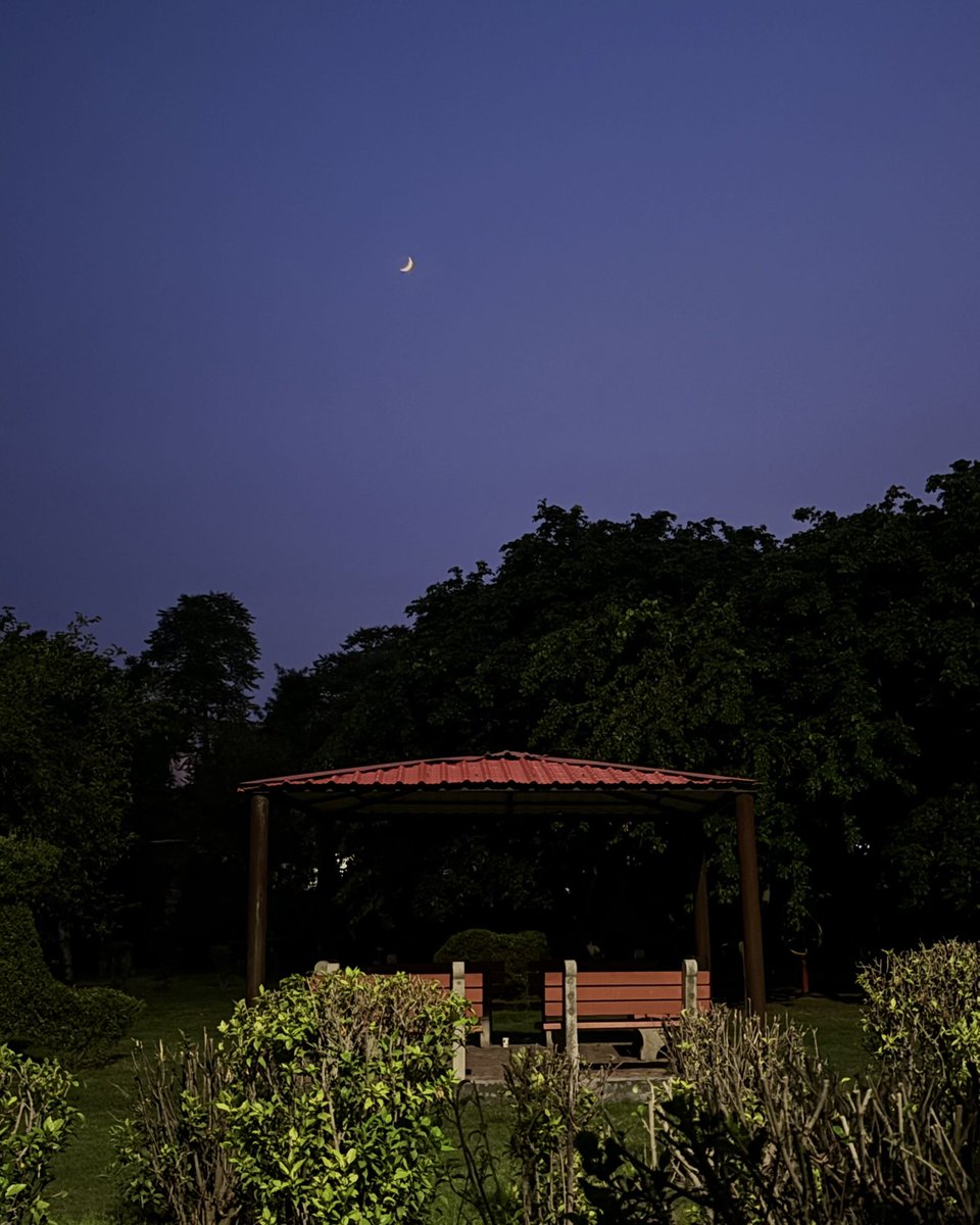 zeeaurav's tweet image. lets sit under the moon