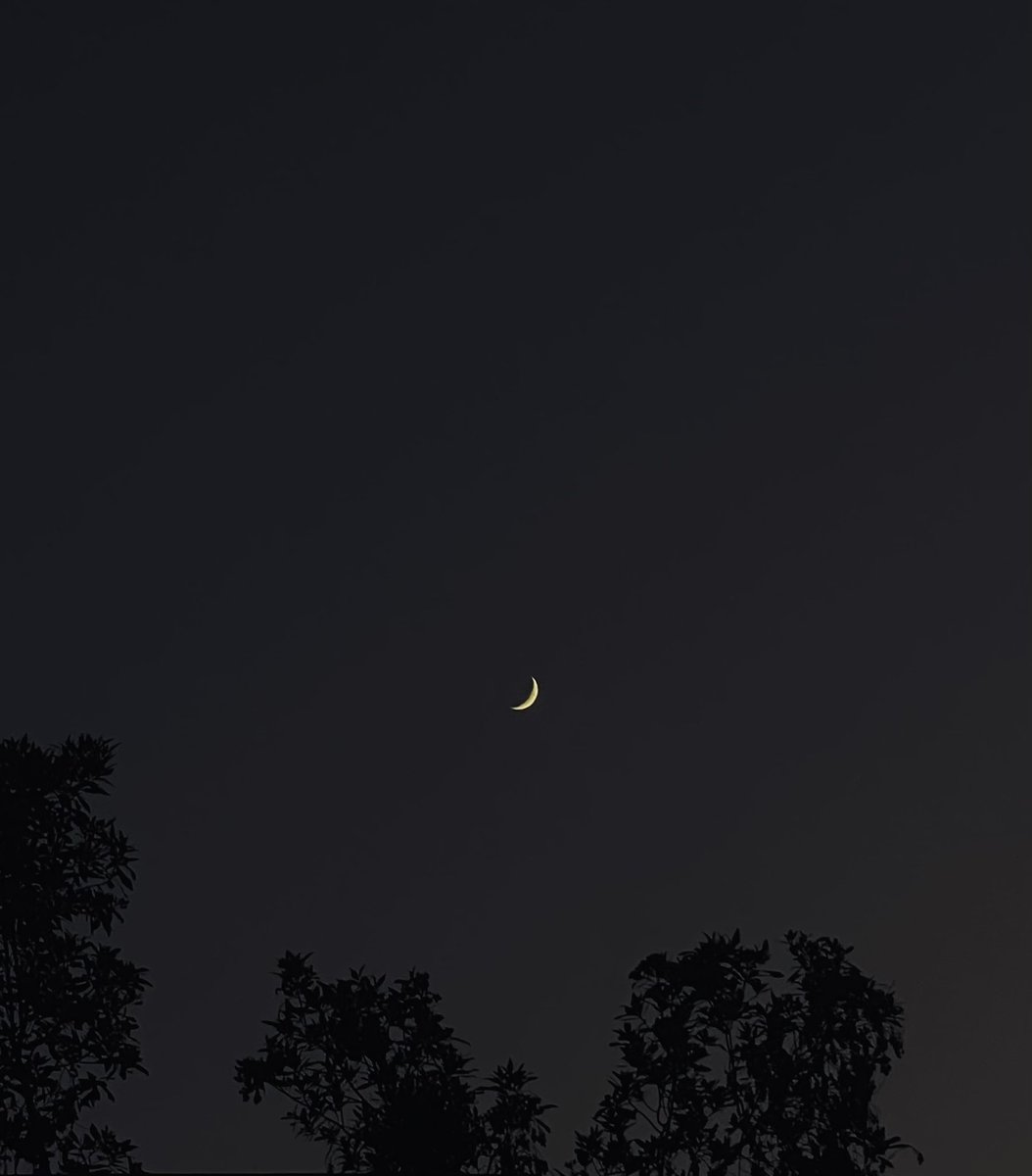 lsky38's tweet image. The Moon tonight ♡