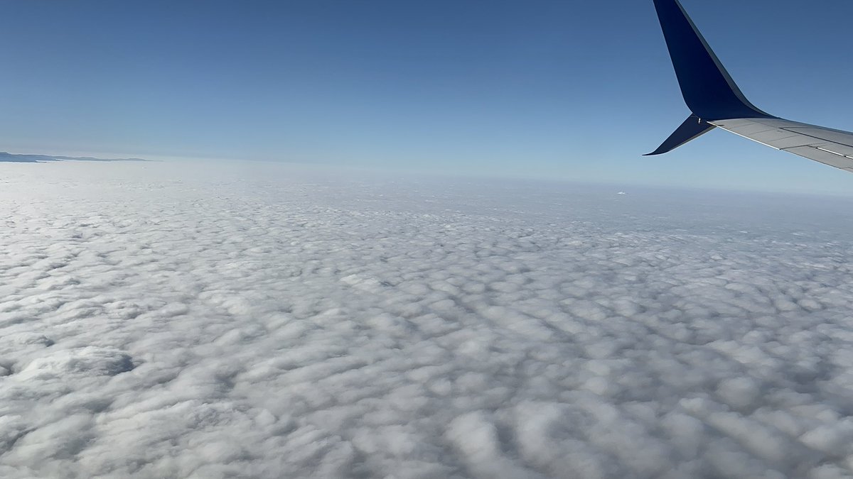 OCSkywarn's tweet photo. @NWSSanDiego @hpwren Here is a view above OC this morning looking south at about 8 AM.  #stratus https://t.co/Z0lIEUYk6W