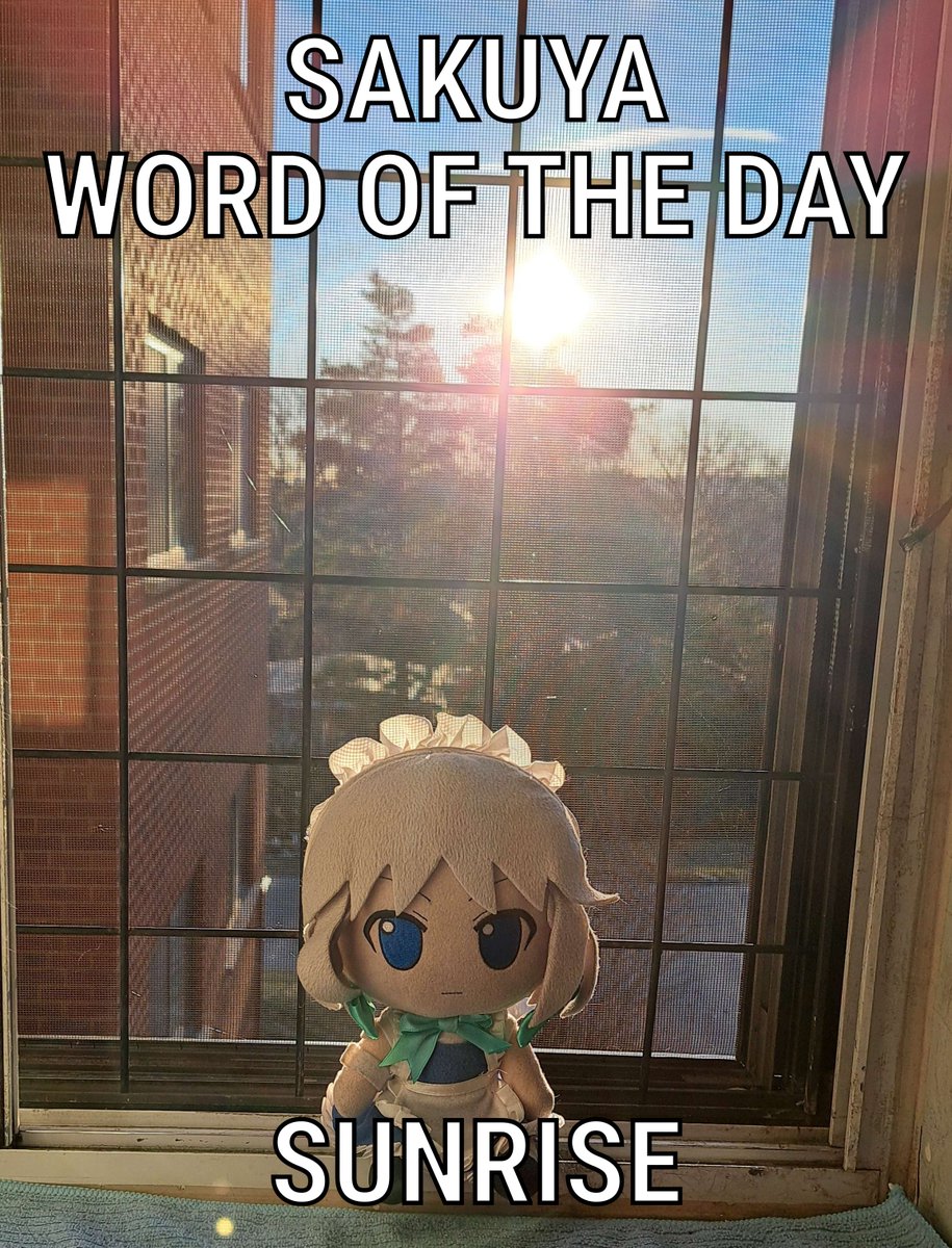 SakuyaWOTD's tweet image. 