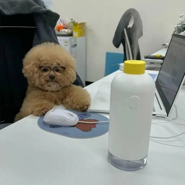 Randy_Shannon's tweet image. Look Cassie, I really don't have time to chat. I have to get this report done before lunch.