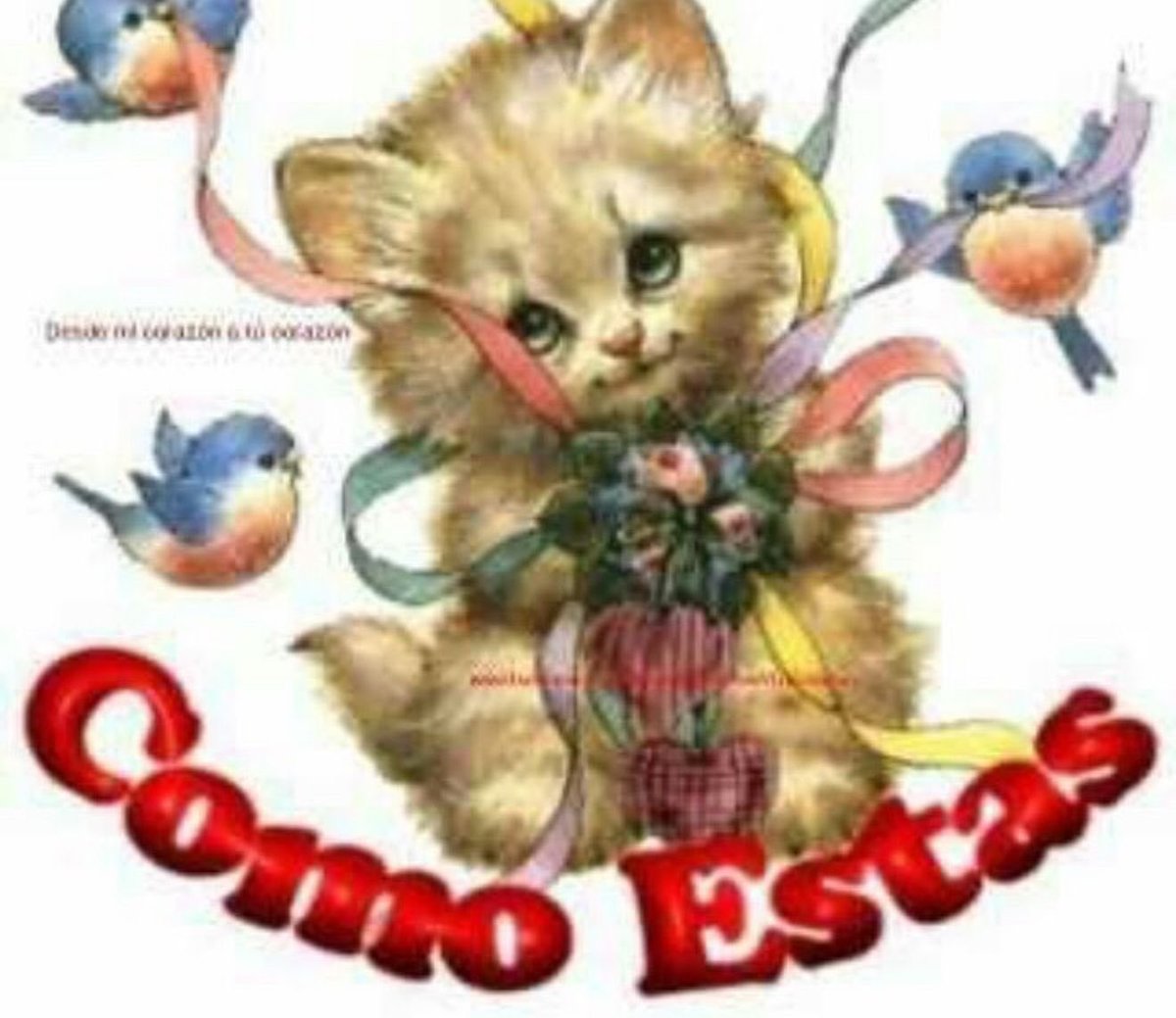nathhstar's tweet image. hola moots, bom dia a todos