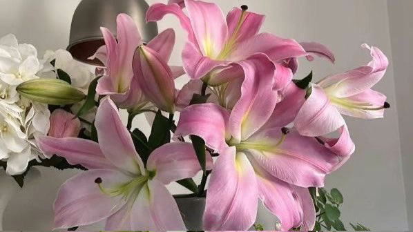 ❀ (@i3moment) on Twitter photo 