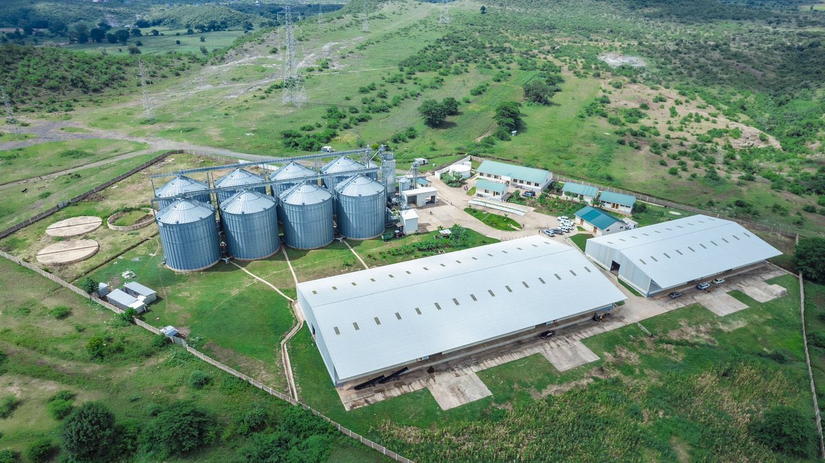 Mradi wa vihenge vya kuhifadhia mazao na maghala wilayani Babati, Mkoa wa Manyara.

Tani 776,000 za mazao zimechukuliwa ambapo lengo la Serikali kuhakikisha ifikapo mwaka 2030 kuhifadhi tani milioni 3.

#OktobaTunatikiSamia