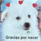 joacobetancurt's tweet photo. @LuisSuarez9 @Nacional Te amo Lucho https://t.co/fLCibpm0wI