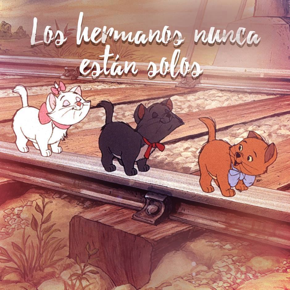 MagicMundi's tweet image. Los hermanos jamás están solos