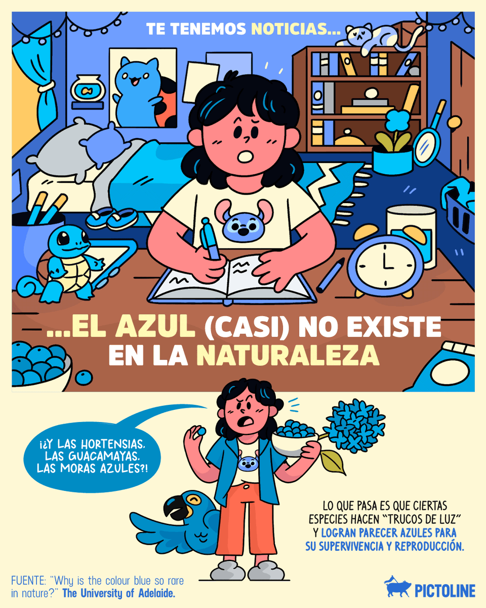 pictoline's tweet image. (Casi) no hay organismos color azul 🐦; lo que ves son “trucos de luz” de la naturaleza ✨🪶

#colorazul #blue #azul #color #nature #naturaleza #animales #pigmentosnaturales #plantas #pictoline