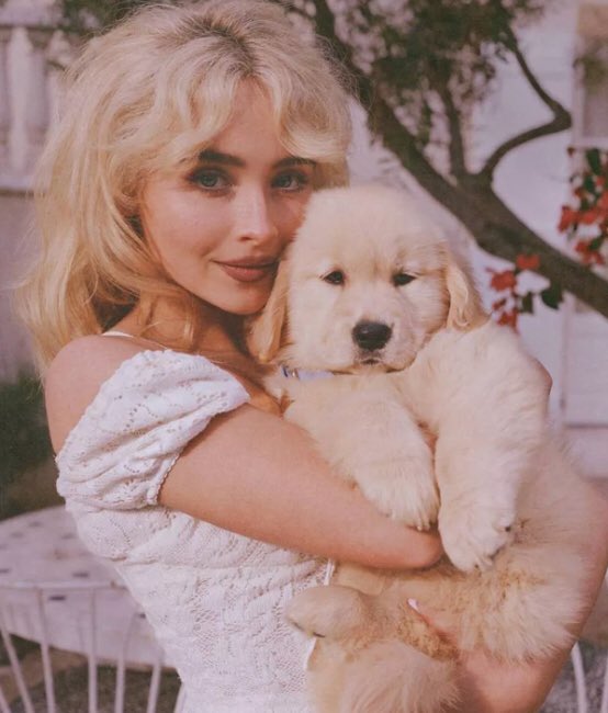 sabrina pics ✦ tweet media