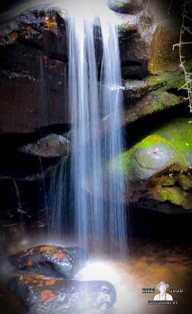 Dismal Canyon Phil Campbell Alabama