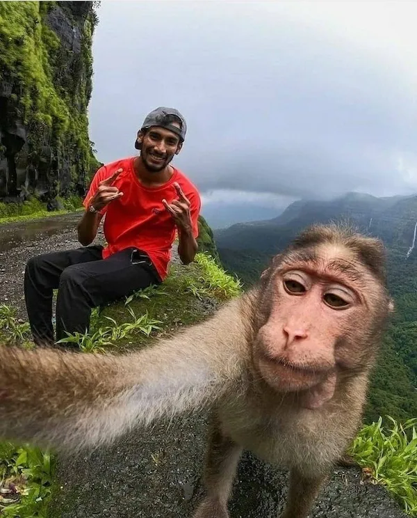 Randy_Shannon's tweet image. mmhmm, bout to steal this dude&apos;s iPhone as soon as I take this pic