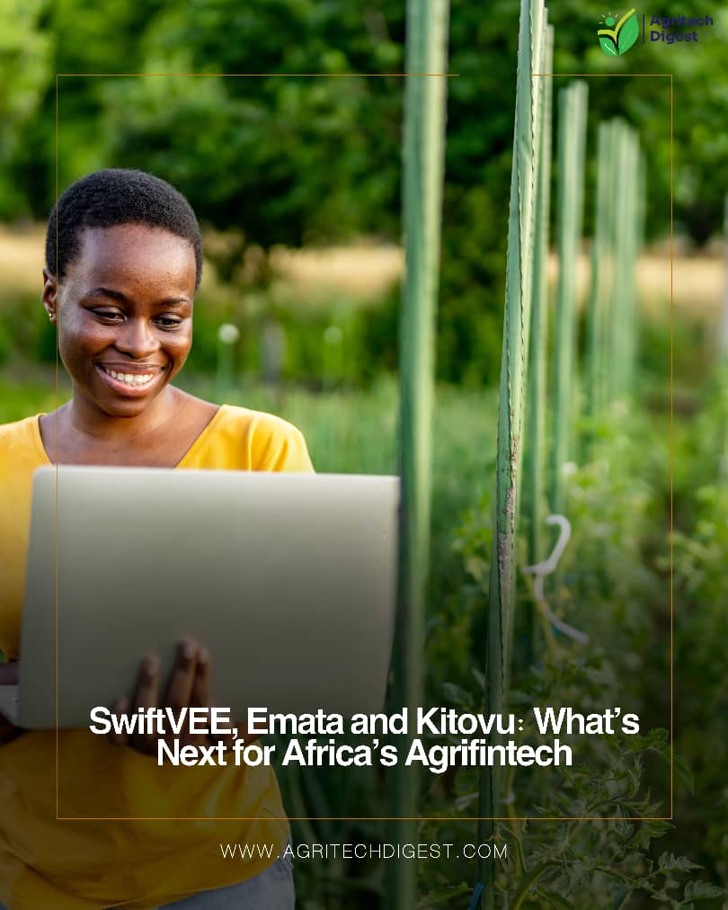 No land titles? No collateral?

No problem.

AgriFintech startups like SwiftVEE, Emata &amp; Kitovu are proving smallholder farmers can access funding through data, tech &amp; innovation.

This is the future of African agri-finance👇
🔗 agritechdigest.com/swiftvee-emata…