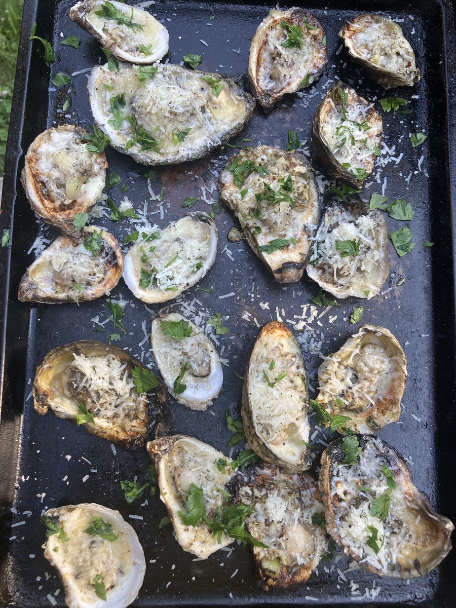 _itsmattman's tweet image. Chargrilled some oysters and I’ll run it back even better next time.