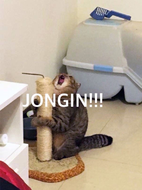 zkdkim's tweet image. Jongin has been super Jongin in the last 48 hours