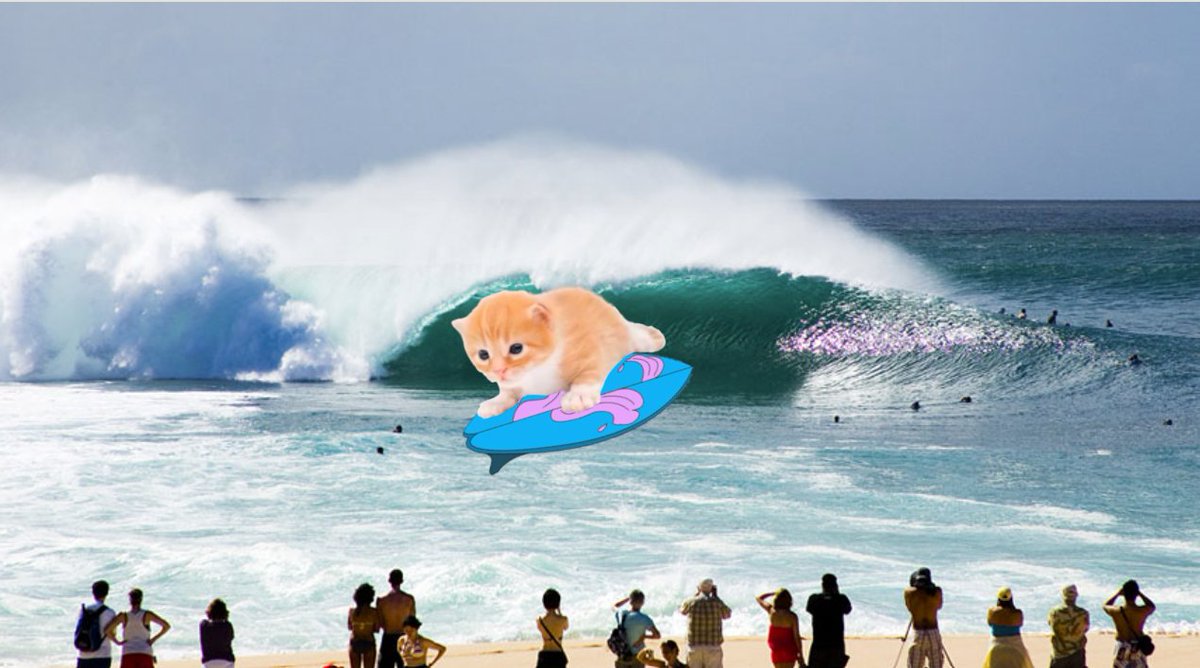 BenCryptoShow's tweet image. $GARY catching some waves
All eyes on Gary everywhere he goes... he's an icon