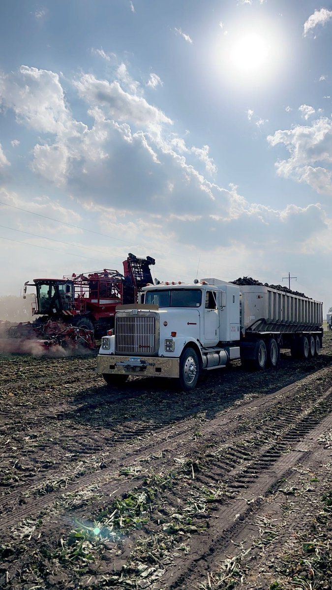 Jacobson Family Farms tweet media