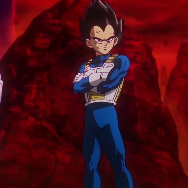 Daily Vegeta (@vegeta_daily) on Twitter photo 