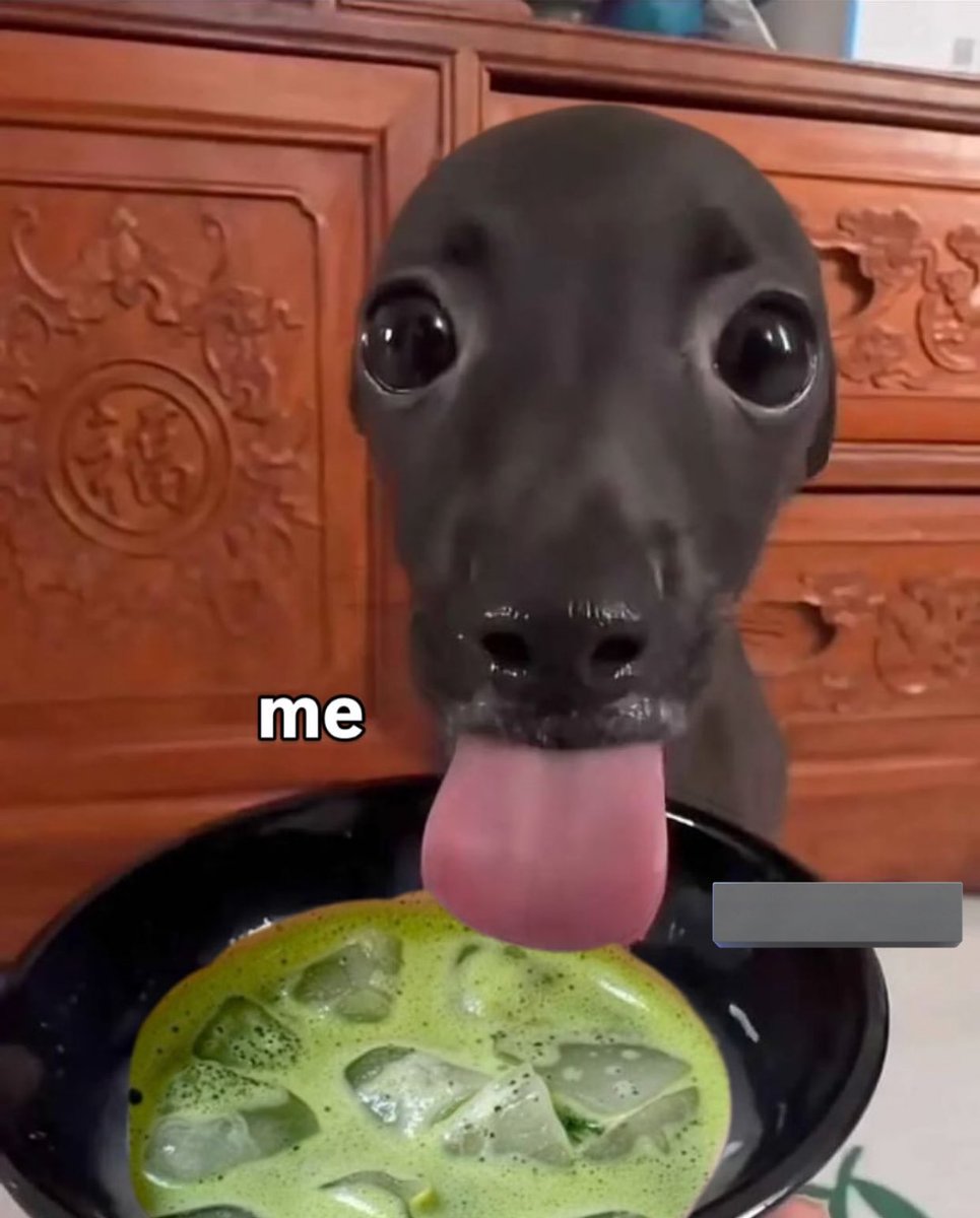 whotfisjovana's tweet image. 