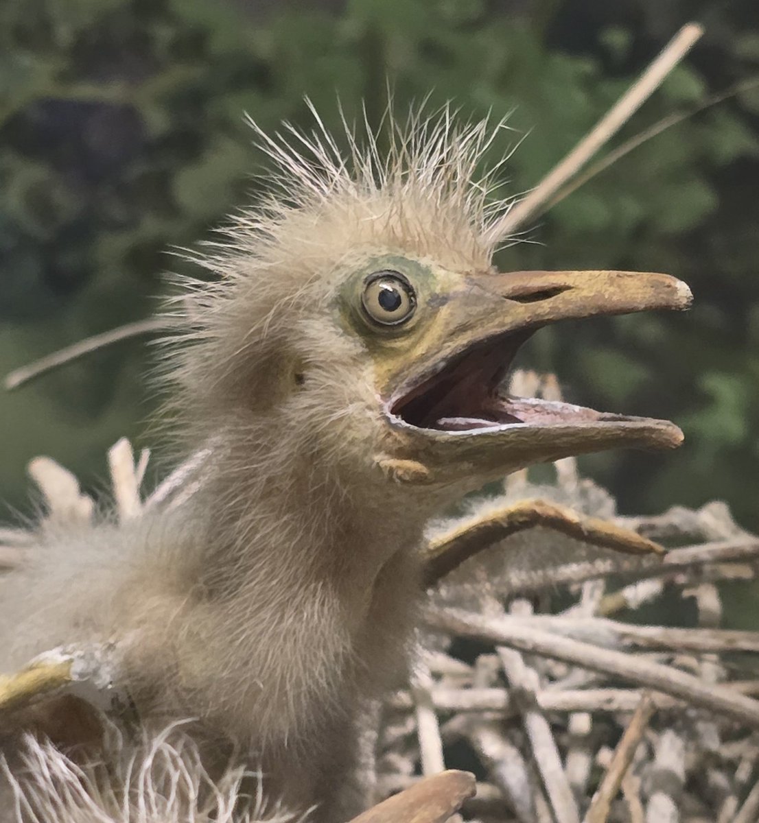 Magik4FGC's tweet image. Waking up Monday morning realizing how much I have to do this week, instead I'm at the museum