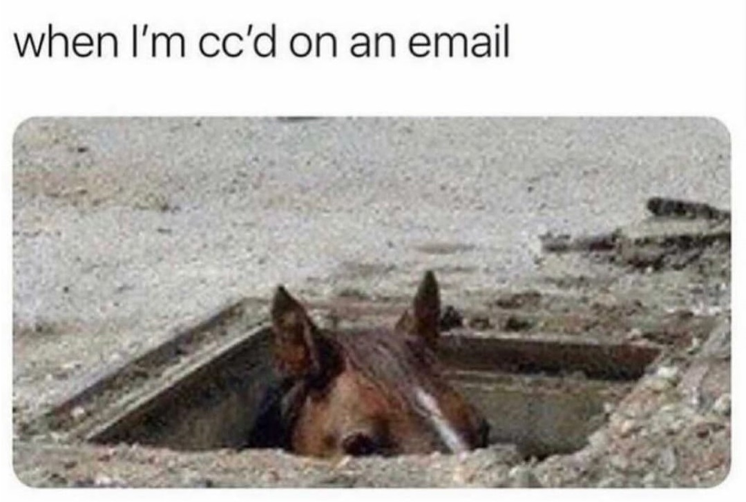 SpillTheMemes's tweet photo. 😂 https://t.co/ZKYu4Hh2aK