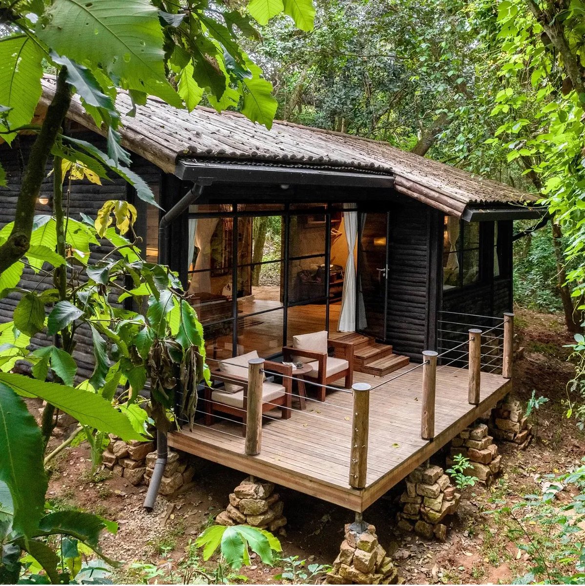 Entebbe Forest Lodge tweet media