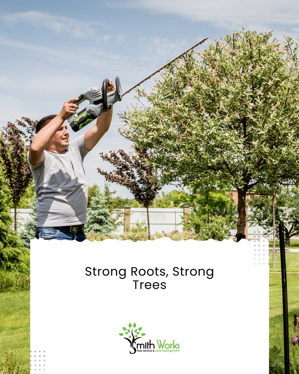 SmithWorksTree's tweet image. A beautiful yard starts from the roots up! 

✅ Build a greener, stronger future for your landscape.
Explore solutions today: 
smithworkstreeservicenashvilletn.com

#DeepRootCare #SustainableTreeCare #SmartLandscaping #TreeWellness #PropertyGoals #GreenProperty