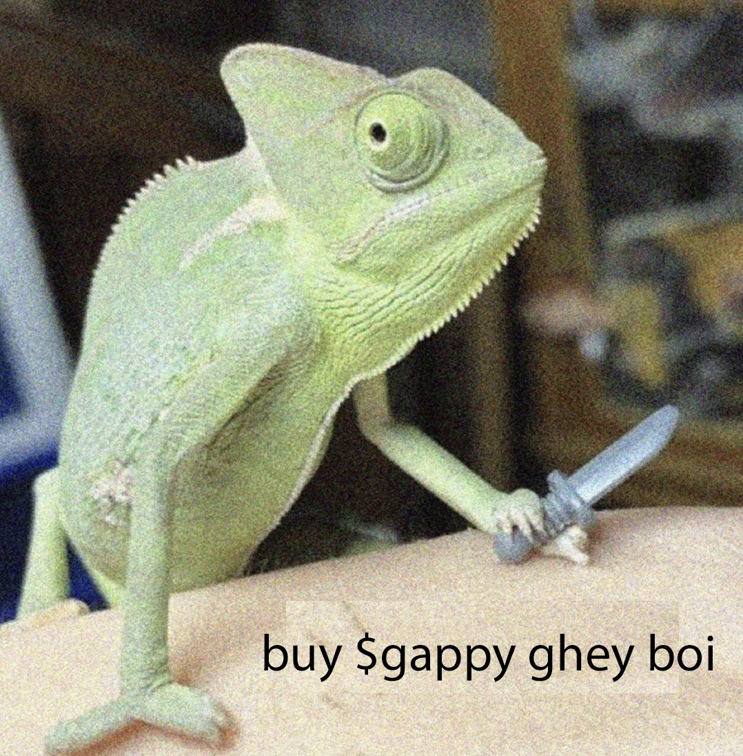 gaptoothlizard's tweet image. oh you like eth? show me then.