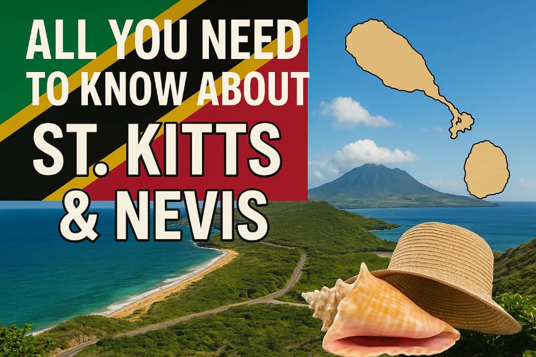 the_oddmind's tweet image. 🇰🇳 ALL YOU NEED TO KNOW ABOUT ST. KITTS AND NEVIS
( COUNTRY NUMBER 11)
Welcome to the dazzling twin-island nation of St. Kitts and Nevis where lush volcanoes meet golden beaches, and small size doesn’t mean small spirit.
Here’s all you need to know 🧵
#TheOddMind
1.📍Location…