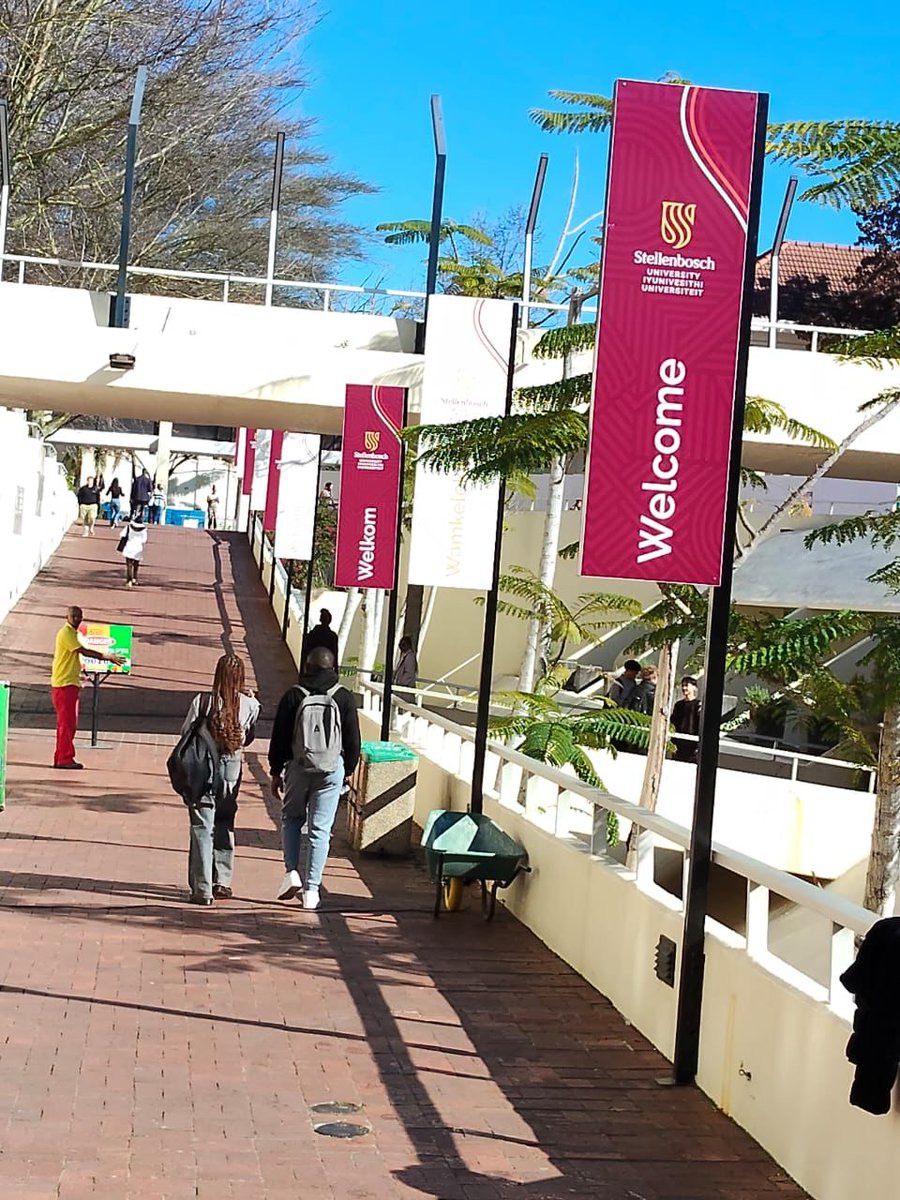 Munya Saruchera tweet media