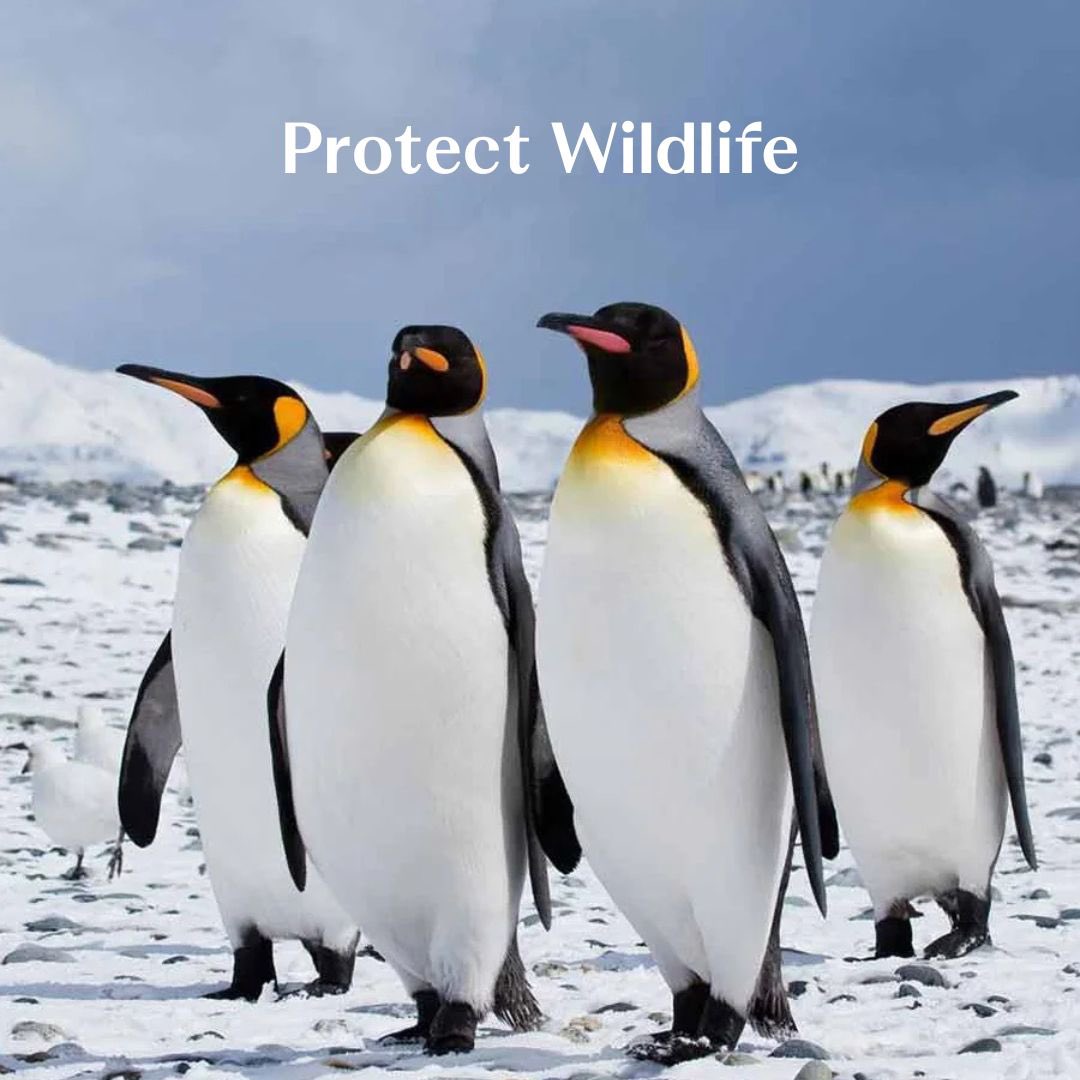 Journeysmiths tweet media