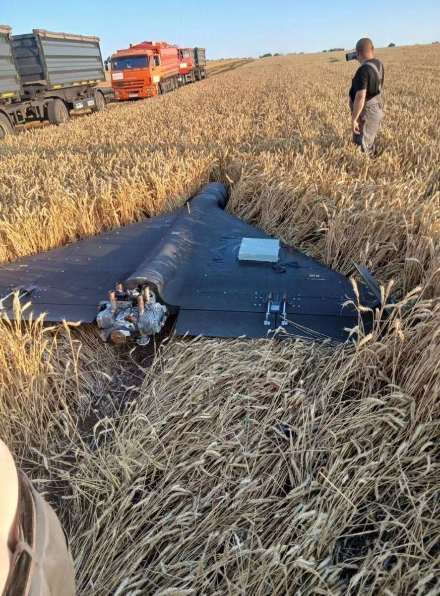 Zzn2Jane's tweet image. Несправний російський дрон-камікадзе «Shahed-136» впав у пшеничне поле в Краснодарському краї