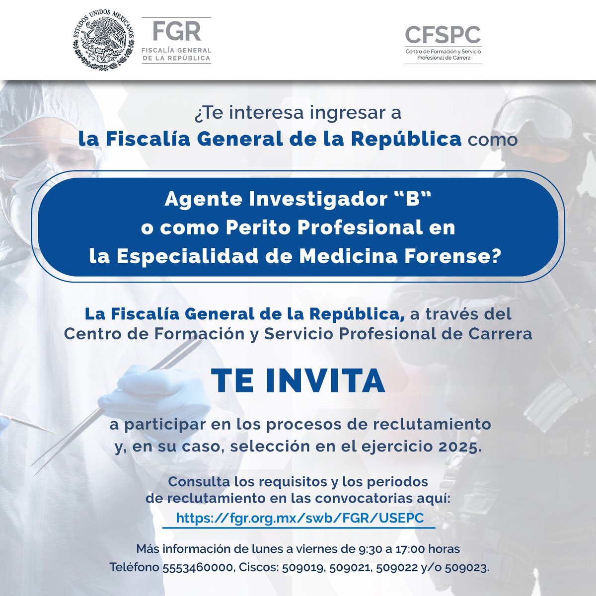 FGRMexico's tweet image. ¿Te interesa ser Oficial Investigador “B” o Perito Profesional “B” en la especialidad de Medicina Forense? 

Revisa las convocatorias en: fgr.org.mx/swb/FGR/USEPC