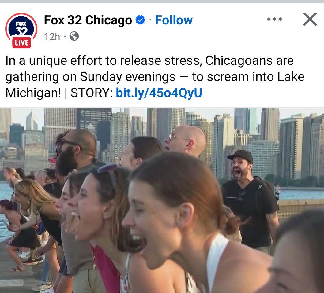 doaknet's tweet image. I have a different suggestion about what you can do into Lake Michigan to relieve stress