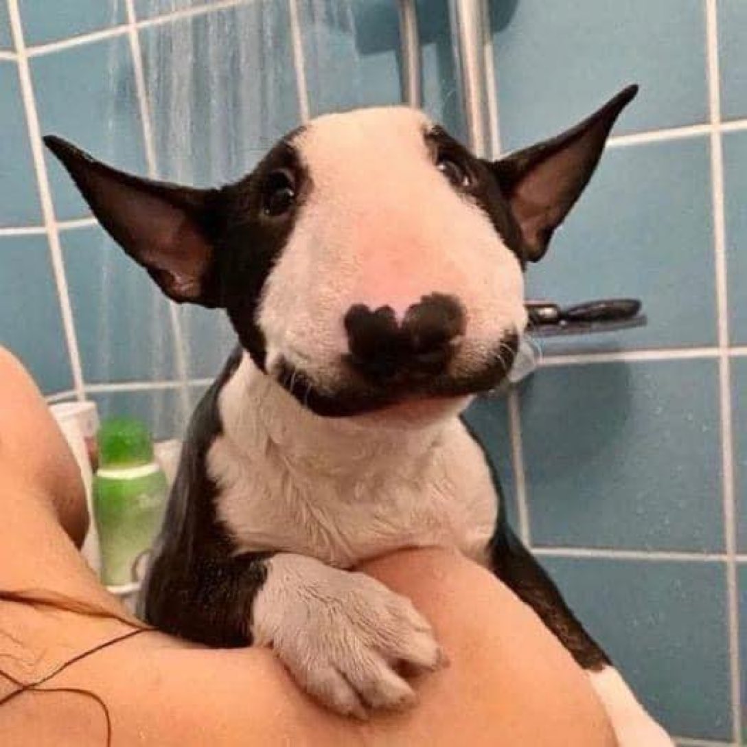 What would you name him?
