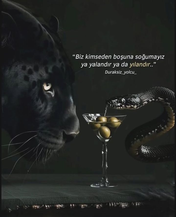 AlperCalis1's tweet image. 