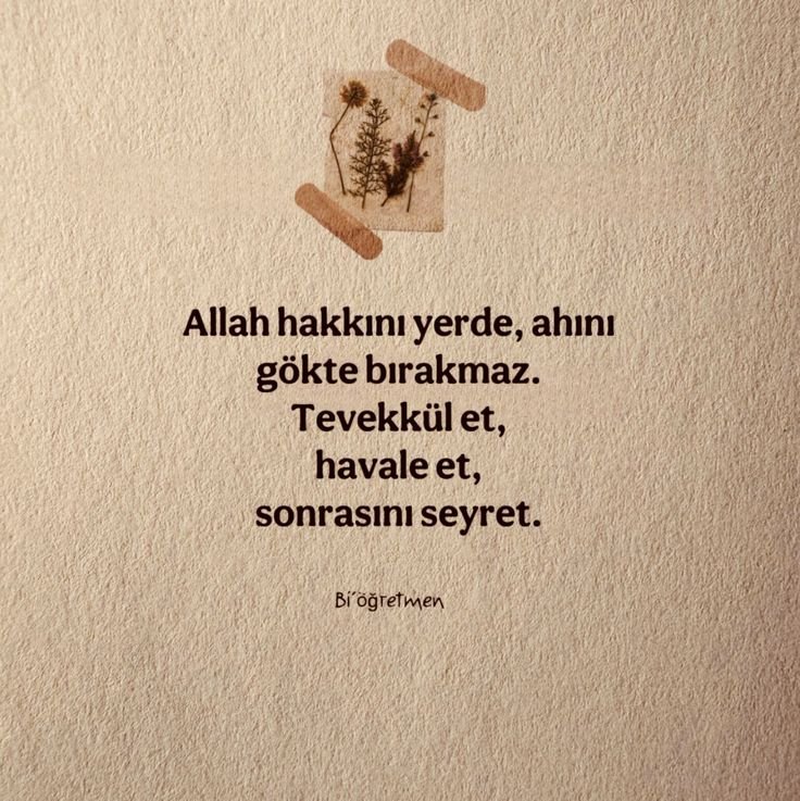 ayaserenat's tweet image. 