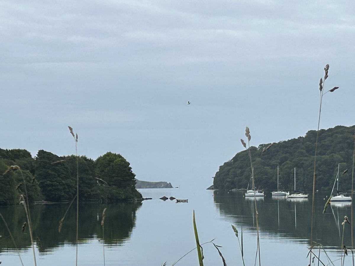 DeasyPamela's tweet image. #Day209 of #300daysofwalking
Early morning stroll πΆββοΈ
#Monday #walking