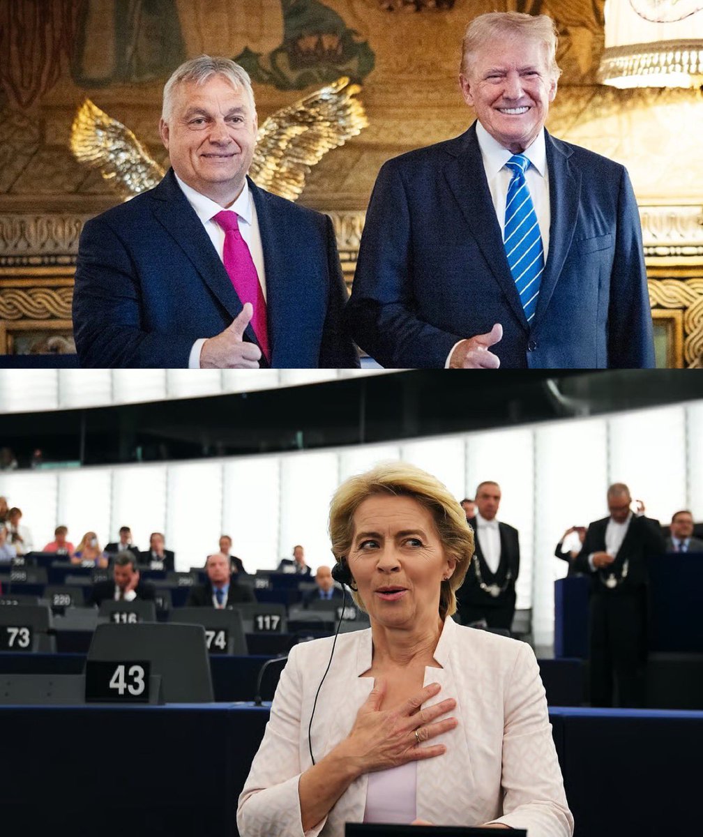 🇺🇸🇪🇺🇭🇺 “Trump ate Ursula von der Leyen for breakfast”
 — Viktor Orban on the deal Trump made with the EU

"There is an agreement to transfer hundreds of billions of euros of capital from Europe to America.

But from where? The committee has no capital.

On whose behalf did you
