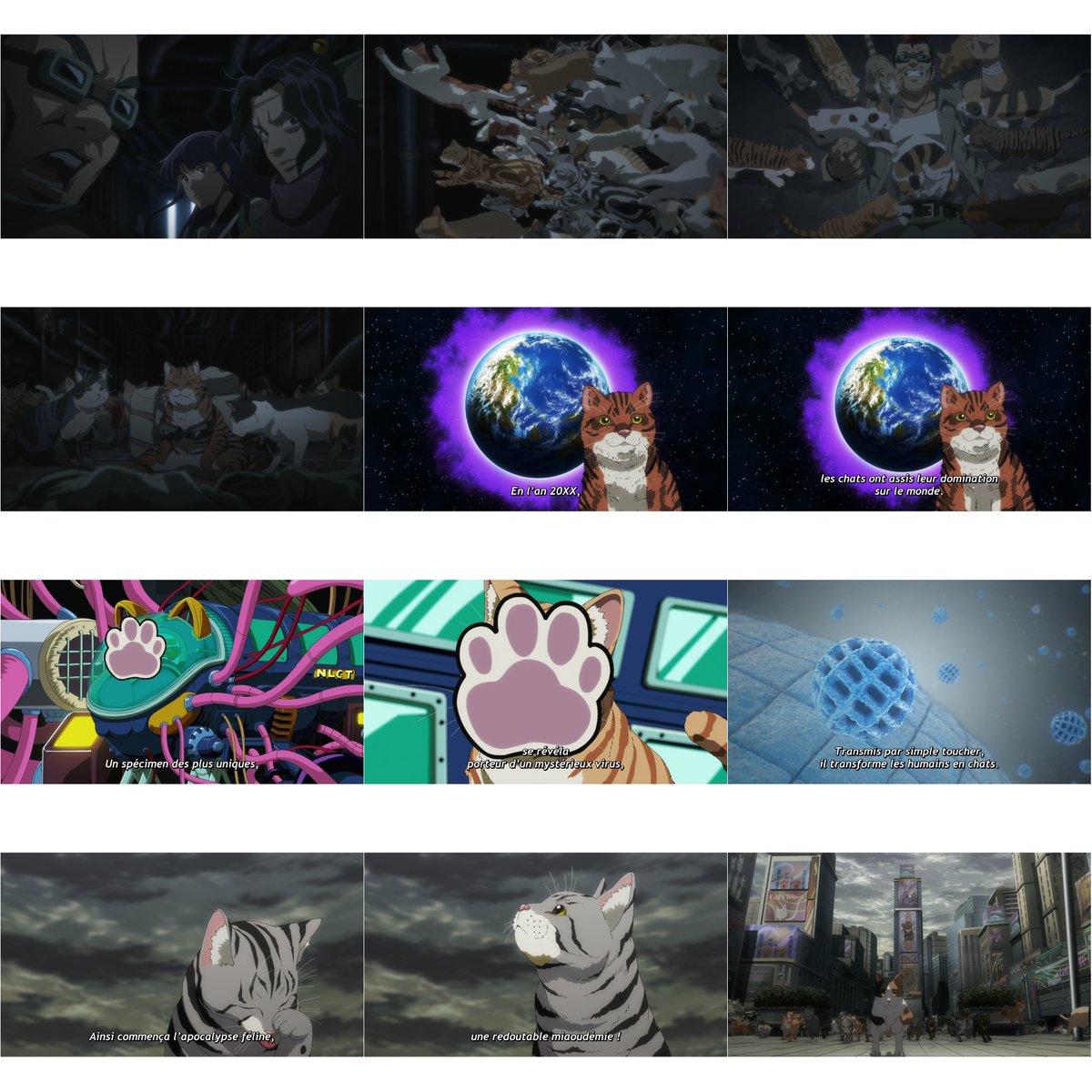 DavidYukioAmano's tweet image. #manga #anime
Je ragrde en ce moment un anime bien rigolo : "Nyaight of the Living Cat"
Wokipédia
"Un mystérieux virus s'est propagé et amène les gens à se transformer en chats lorsqu'ils sont en contact avec les fameux félins. Le personnage principal, Kunagi, doit lutter…
