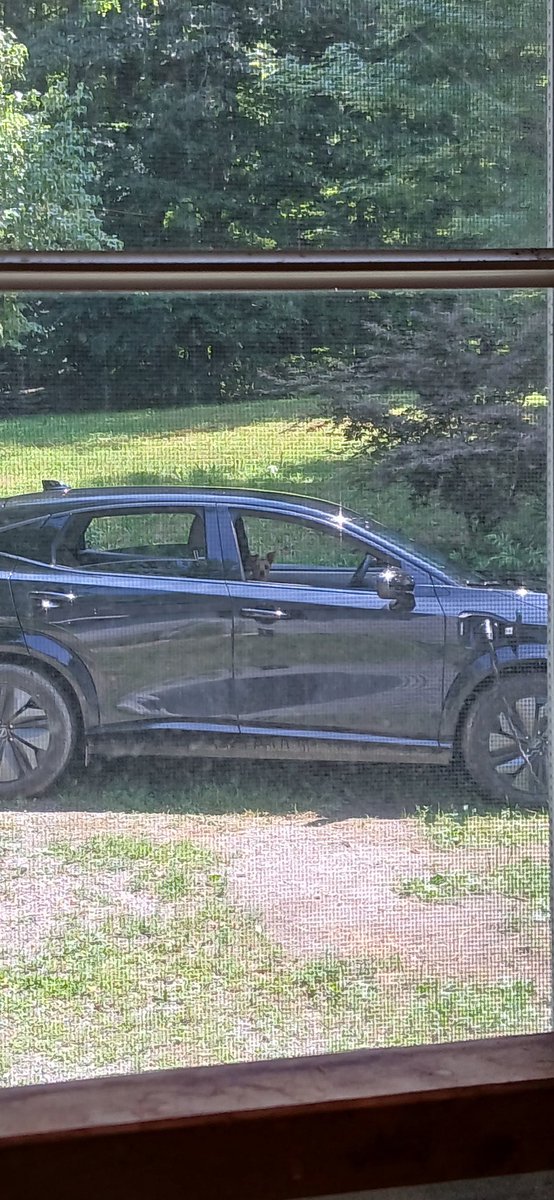 Sensotaur A. Society tweet media