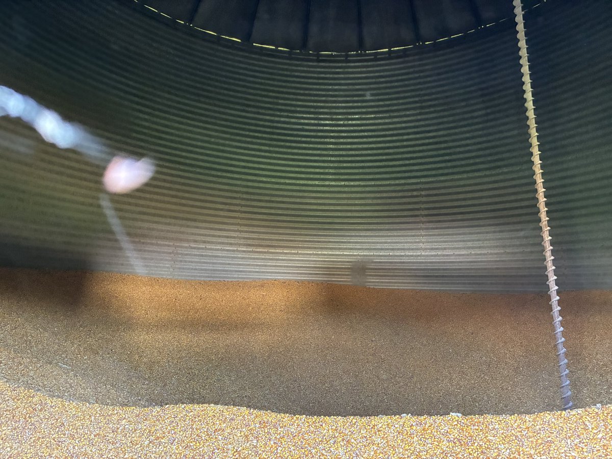 _TheMizzouTiger's tweet image. Nice cool day to hop in a bin and run a sweep.