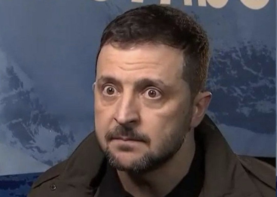 19sergio64's tweet image. Коли прийдуть арештовувати Зєлємскаго, в нього, на кшталт жінки-неандерталки Безкутної, вже будуть підготовлені довідки про розумову неповноцінність, гострий психічний розлад і високу наркозалежність, що унеможливлює його допит слідством.