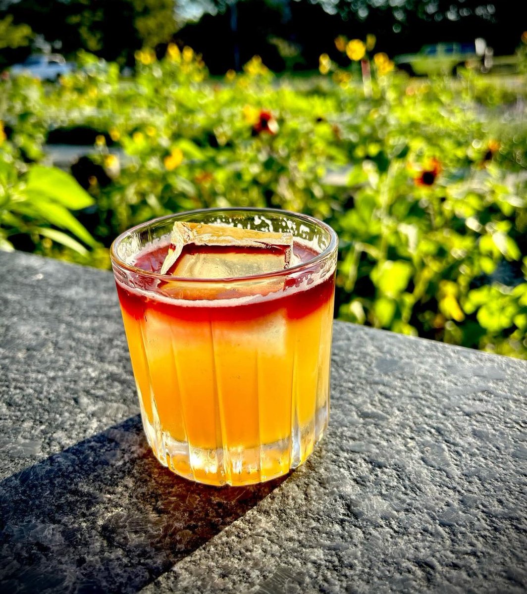 Miss Peach Whiskey Sour 🍑🥃