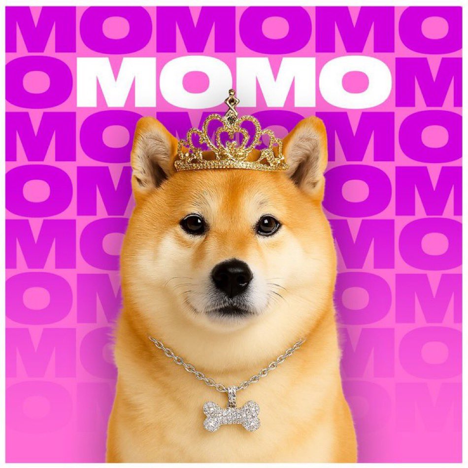 Apexmorales's tweet image. For some weird reason @bonk_fun bought back all top coins EXCEPT for $MOMO 

Yet we&apos;re top #5 &amp;amp; we&apos;re at 30MIL performing better than most! Sronger than ever!  

This just PROVES  how organic $MOMO is. So fucking bullish

I believe something big is coming this a strange moment in…