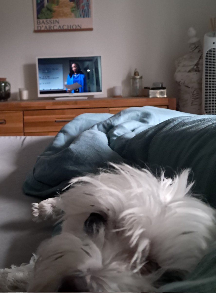 6JoGe9's tweet image. End of year reports written ✅️
Rainy weather ✅️
True crime show ✅️
Loki and me are ready for a nap now.