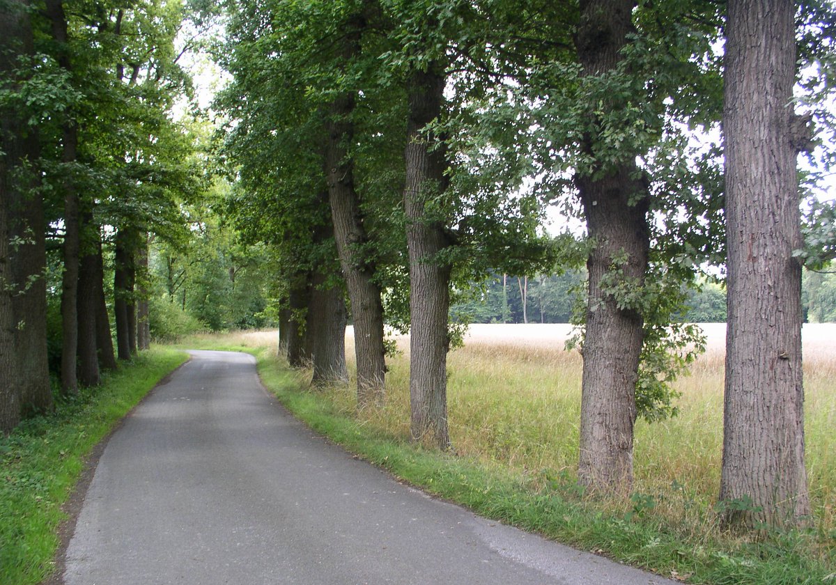 Fohlenvolki's tweet image. 