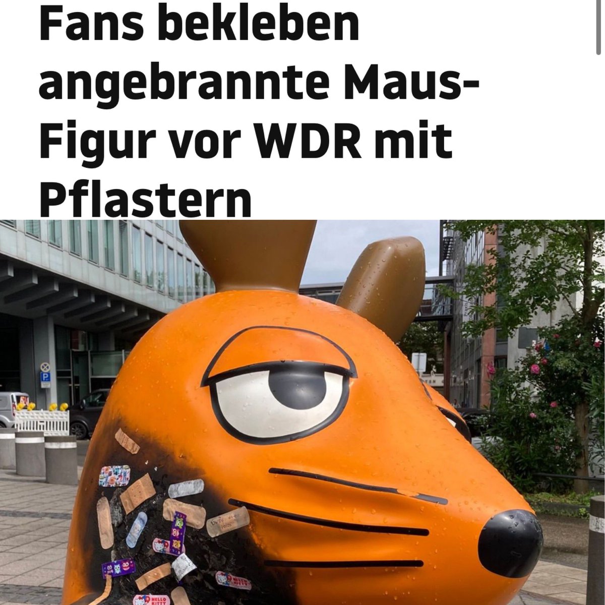 An die Täter:

Euch sollte ein blauer Elefant für ewig zuscheißen!

An die Kinder mit den Pflastern:

IHR SEID HELDEN 👏👏👏

#DieMaus